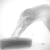 Duck Feeding: Slow motion x-ray movie